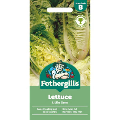 Mr Fothergills Mr. Fothergills Lettuce SeedsLittle Gem from B&Q