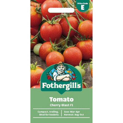 Mr Fothergills Fothergills Premium Tomato SeedsCherry Blast F1 from B&Q
