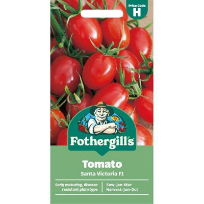Mr Fothergills Fothergills Premium Tomato SeedsSanta Victoria F1 from B&Q