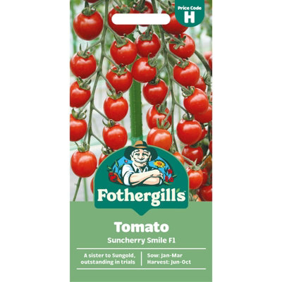 Mr Fothergills Fothergills Premium Tomato SeedsSuncherry Smile F1 from B&Q