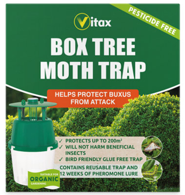 Vitax Box Tree Moth Trap Buxus Box from B&Q
