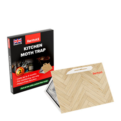 Rentokil Kitchen Moth Traps (Contains 2 Traps) from B&Q