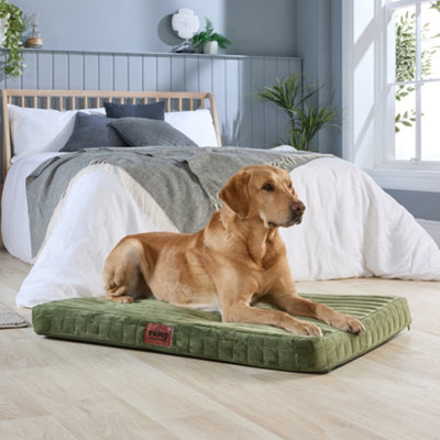 Slumberdown Paws For Slumber Orthopedic Pet BedGreenLarge from B&Q
