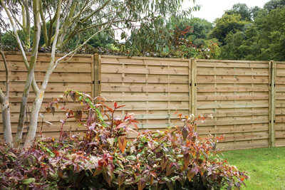 Forest Garden 1.8M X 1.8M Pressure Treated Decorative Europa Plain Fence PanelPack Of 4 from B&Q