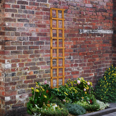 Forest Garden Heavy Duty Trellis183 X 30CmPack Of 10 from B&Q