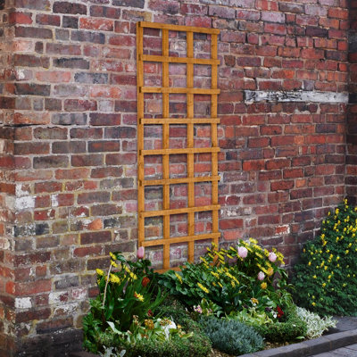 Forest Garden Heavy Duty Trellis183 X 61CmPack Of 10 from B&Q