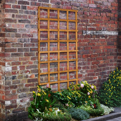 Forest Garden Heavy Duty Trellis183 X 91CmPack Of 6 from B&Q