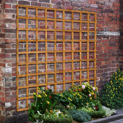 Forest Garden Heavy Duty Trellis183 X 183CmPack Of 4 from B&Q