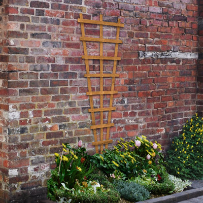 Forest Garden Heavy Duty Fan Trellis183 X 66CmPack Of 6 from B&Q