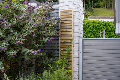 Forest Garden Slatted Trellis 180X30CmPack Of 4 from B&Q