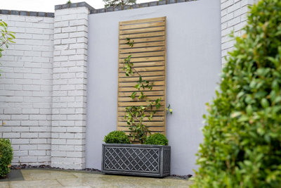 Forest Garden Slatted Trellis 180X60CmPack Of 10 from B&Q