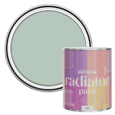 Rust-Oleum Leaplish Matt Radiator Paint 750Ml from B&Q