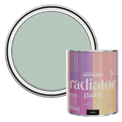 Rust-Oleum Leaplish Gloss Radiator Paint 750Ml from B&Q
