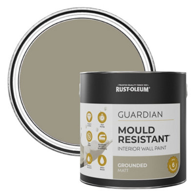 B&Q -  Grounded Guardian Mould Resistant Wall Paint 2.5L