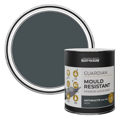 Rust-Oleum Anthracite (Ral 7016) Guardian Satin Mould Resistant Interior Wood Paint 750Ml from B&Q