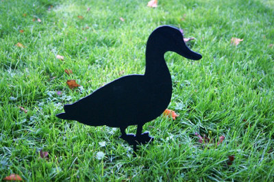 Poppy Forge Duck FacingHand Made By Traditional Forge Garden OrnamentSteelW17.8 X H30.5 CmPowder Coated Black from B&Q