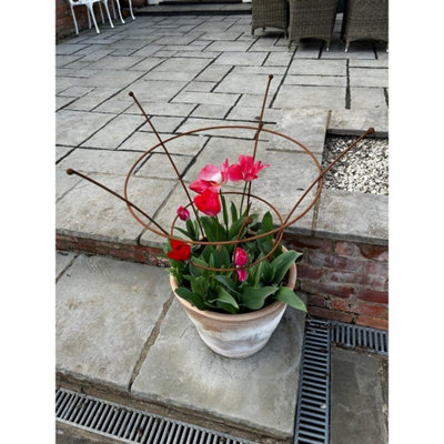 Poppy Forge Paris Peony Plant SupportSteelH81.3 CmBare Metal/ready To Rust from B&Q