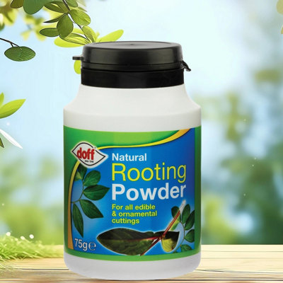 Doff Natural Rooting Powder Plant Cutting Promotes Strong Healthy Roots 75G from B&Q