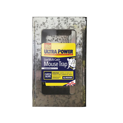 The Big Cheese Mouse Trap (H)49mm (W)159mm from B&Q