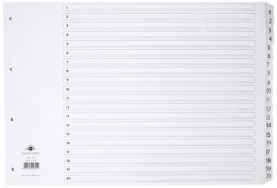 Concorde Concord Classic Index Mylar-Reinforced Punched 4 Holes 1-20 A3 White Ref 04801/cs48 from B&Q