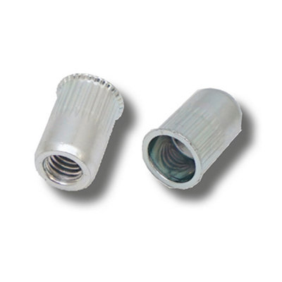 Jrp Riveting Products M4 X 10.5 Steel Reduced Head Rivet NutsJrprnsrhi0420 from B&Q