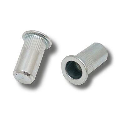 Jrp Riveting Products M8 X 21.5 Steel Flat Head Rivet NutsJrprnsfhc0830 from B&Q