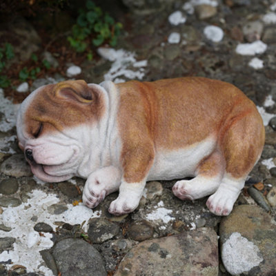 Burgess Sleeping British Bulldog Puppy Resin Sculpture Home Garden Dog Statue Outdoor Ornament Large Laying Pet Gift from B&Q