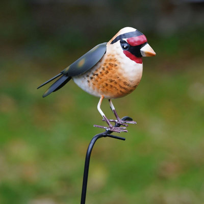 Burgess Chaffinch On Stick Metal Garden Ornament Stake Robin Statue Tin Decoration British Bird Watcher Gardening Large Gift from B&Q