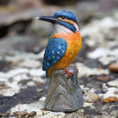 B&Q -  Kingfisher Resin Statue Home Garden British Bird Sculpture Outdoor Ornament Robin Decoration Birdwatching Gift