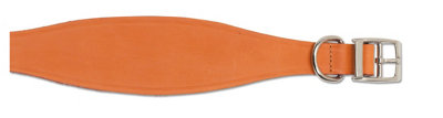 Ancol Greyhound Leather Collar Tan 34-43Cm from B&Q