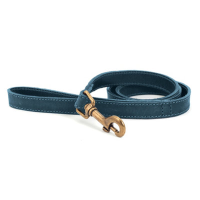 Ancol Timberwolf Soft Leather Blue Dog Puppy Lead Pet Leash Training Accessory1M X 19mm from B&Q