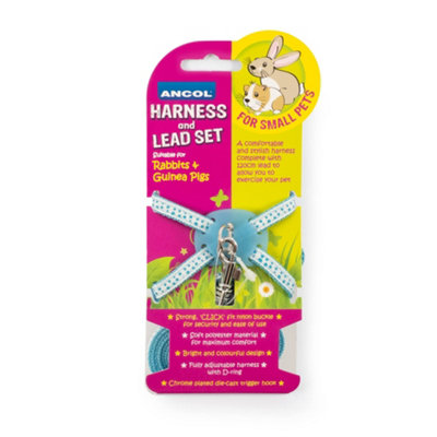 Ancol Rabbit Harness & Lead Set Blue Polka from B&Q