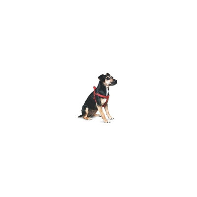 B&Q -  Nylon Padded Reflective Harness Black Extra Small