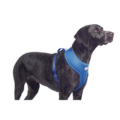 Ancol Mesh Dog Harness Blue L 53-74Cm from B&Q