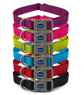 Ancol Viva Adjustable Quick Fit Lightweight Weatherproof Black Collar Pet Training Accessory 20-30 CmSize 1-2 from B&Q