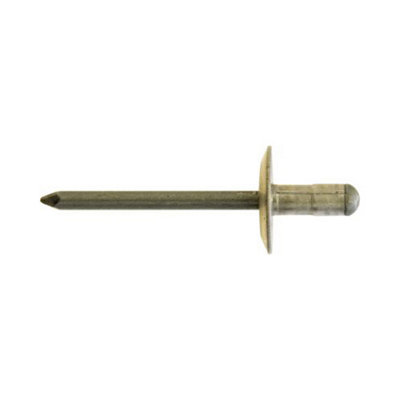 Mehr Multigrip Rivet 4.8 X 10mm Large Flange Pr111 Pack Of 200 from B&Q