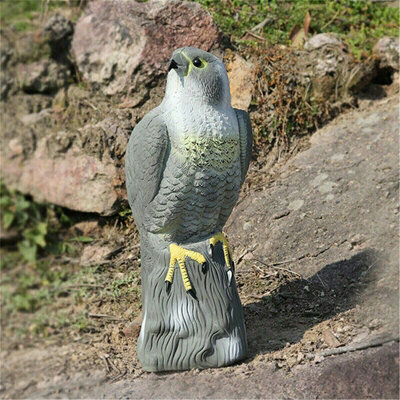 Garden Falcon Bird Deterrent Pest Control from B&Q