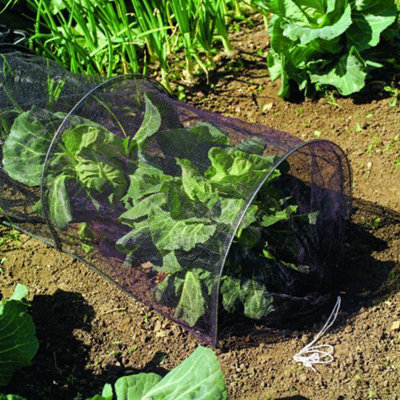 Marco Paul 3M Black Poly Cloche Garden Grow Tunnel from B&Q