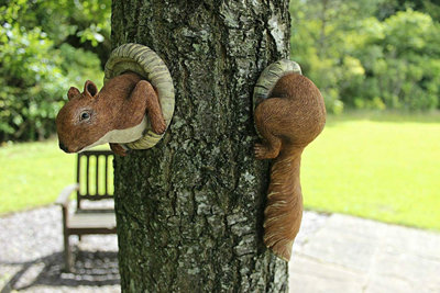  - Red Squirrel Tree Oeeker Ornament