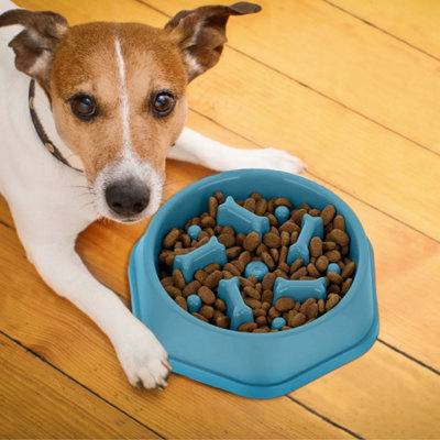 Marco Paul Slow Feeding Pet Bowl from B&Q