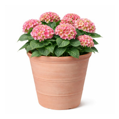 Jack Stonehouse Jsh Rustic Terracotta Effect 41L Planter In Recycled Plastic Traditional Round Garden Flower Pot from B&Q