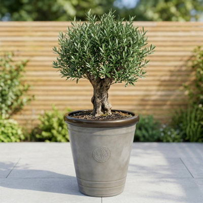 Jack Stonehouse Jsh Roman Sandstone Effect 75L Planter In Recycled Plastic Round Garden Flower PotGrey from B&Q