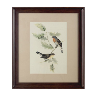 B&Q -  Framed Birds 1 Wall Art