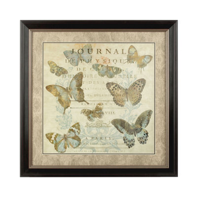 Orsina Framed Butterfly 1 Wall Art from B&Q