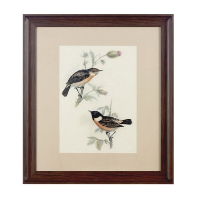 B&Q -  Framed Birds 2 Wall Art
