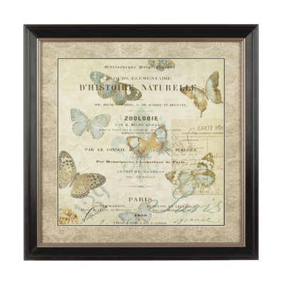 Orsina Framed Butterfly 2 Wall Art from B&Q