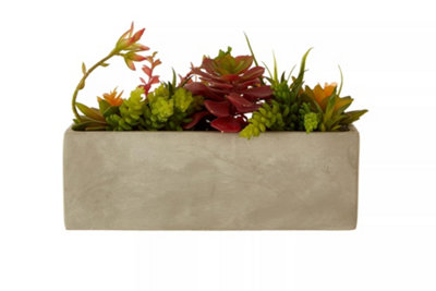 Premier Housewares Fiori Mixed Succulents With Cement Pot Artificial Plant Foliage from B&Q