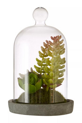 Orsina Fiori Small Succulent Dome With Cement Base Artificial Plant Foliage from B&Q