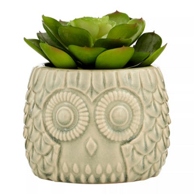 Orsina Fiori Large Succulent In Grey Ceramic Owl Pot Artificial Plant Foliage from B&Q