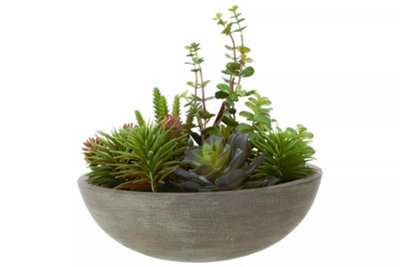 Orsina Mixed Succulent In Stone Effect PotFaux Multicoloured Succulent Arrangement In Rustic Grey Planter from B&Q